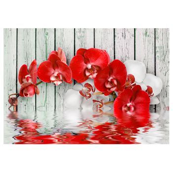 Papel Pintado 3d - Orquídea Rubí (150x105 Cm)