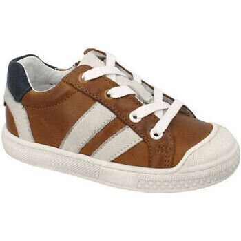 Bellamy Deportivas Moda fac para niño