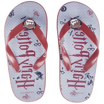 Harry Potter Chanclas 2300005264 para niña
