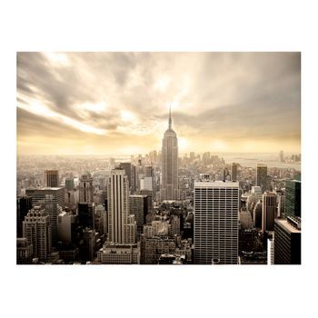 Papel Pintado 3d - Nueva York - Manhattan Al Amanecer (400x309 Cm)