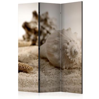 Biombo - Beach And Shell (135x172 Cm)