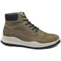 igico botines igi-i25-8629766-fa para hombre
