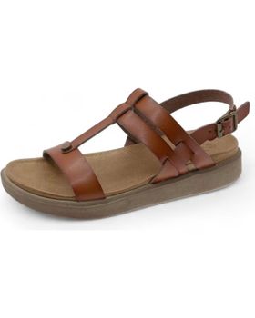 de BEPPI 2204380 CAMEL