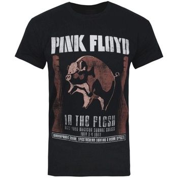 Pink Floyd Camiseta In The Flesh para hombre