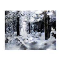 papel pintado 3d - bosque invernal 300x231 cm