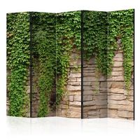 biombo - ivy wall ii 225x172 cm