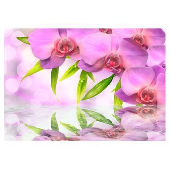 Papel Pintado 3d - Orquídeas Color Lila (350x245 Cm)