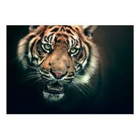 papel pintado 3d - tigre de bengala 400x309 cm
