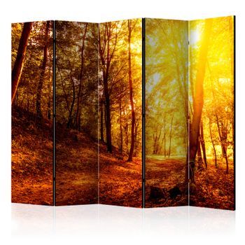 Biombo - Autumn Walk Ii (225x172 Cm)