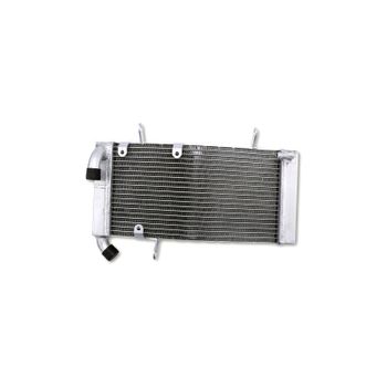 Refrigerador motor Ducati 748 agua