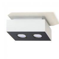plafon de techo mono ii 2 luces