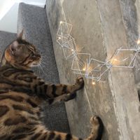 led silver glitter cube light chain