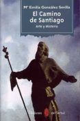 el camino de santiago arte y misterio