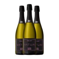 colet vatua rose classic extra brut penedes 75 cl 115 vol pack de 3 unidades