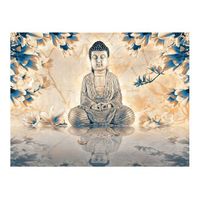 papel pintado 3d - buddha of prosperity 200x154 cm