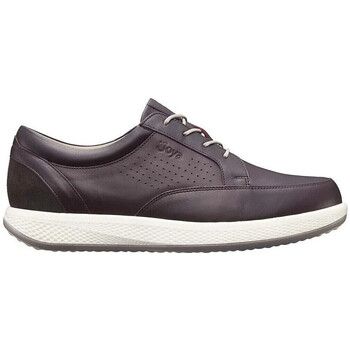 Joya Zapatillas boston brown para hombre