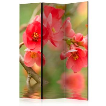 Biombo - Azalea Reflected In The Water (135x172 Cm)