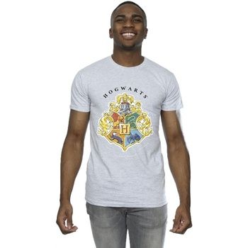 Harry Potter Camiseta Hogwarts para hombre