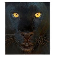 estoralis - estor enrollable translucido  estampado animales  130 x 180 cm anchoalto tamano tela 127 x 175 cm  a-124 unico