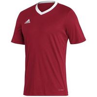 adidas camiseta entrada 22 para hombre