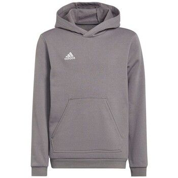 adidas Chaqueta deporte Entrada 22 Hoody para niño
