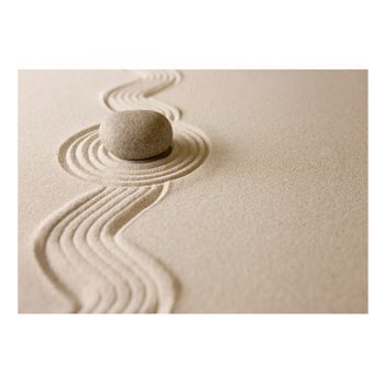 Papel Pintado 3d - Zen: Balance (350x245 Cm)