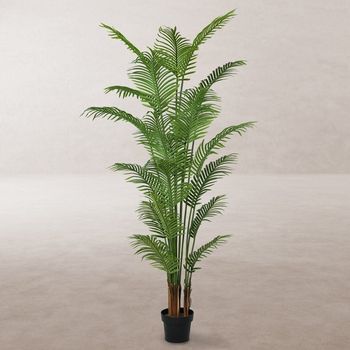Lolahome Planta Artificial Areca Para Interior Y Exterior, 210 Cm Monty