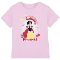disney tops y camisetas birthday princess and friends para nina