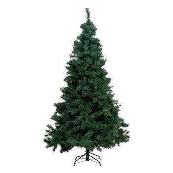 Abeto Pico Ventoso 300cm