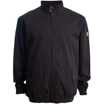 Duke Cazadora D555 Windsor para hombre