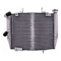 refrigerador motor triumph street triple 765 agua