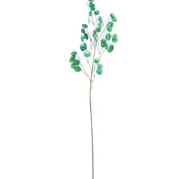 Set 6 Ramas Lunaria Verde