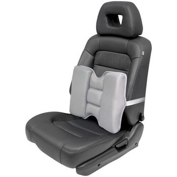 Back Comfort Cushion