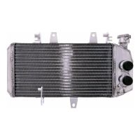 refrigerador motor bmw f 800 agua