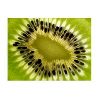papel pintado 3d - frutas kiwi 350x270 cm