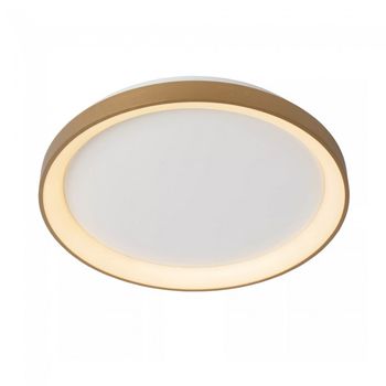 Plafón de techo led vidal (38w)