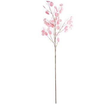 Set 6 Ramas Lunaria Rosa