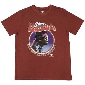 Jimi Hendrix Tops y Camisetas Are You Experienced? para mujer