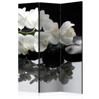 Biombo - Spa, Stones And Orchid (135x172 Cm)