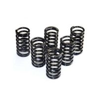 muelle de embrague ferodo fss0106 kit