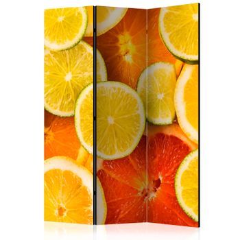 Biombo - Citrus Fruits (135x172 Cm)
