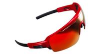 bbb glasses commander rouge metalic