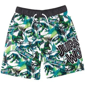Jurassic Park Bañador NS7048 para niño