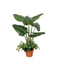 planta artificial taro 100 cm