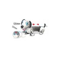 robot junior dackel