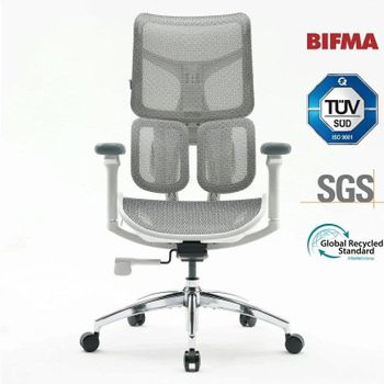 Silla Ergonómica Sihoo Doro S100 Soporte Lumbar Doble Ajustable 78x63x124 cm