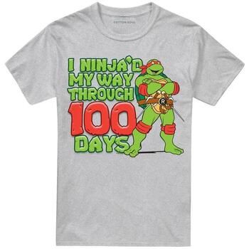 Teenage Mutant Ninja Turtles Camiseta I Ninja'd My Way Through 100 Days para hombre