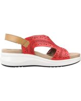 de fluchos f1481 rojo
