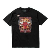 camiseta chicago bulls last dance 6x champs - mitchell and ness