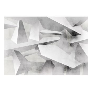 Papel Pintado 3d - Alas Congeladas (150x105 Cm)